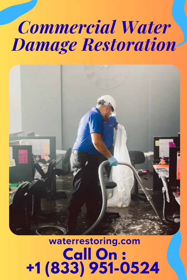 Commercial Water Damage Restoration in Plant City, FL
